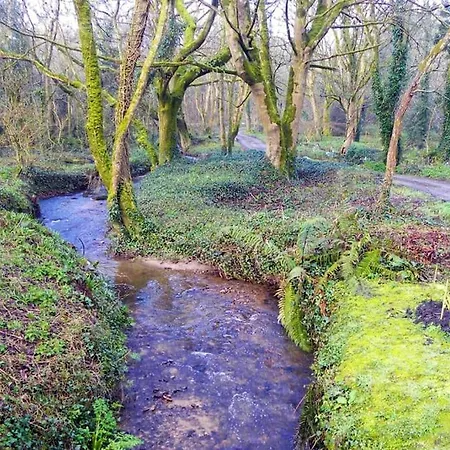 Idyllic Cornish Cottage In The Beautiful Lamorna Valley - Walk To Pub & Sea Paul Exterior photo