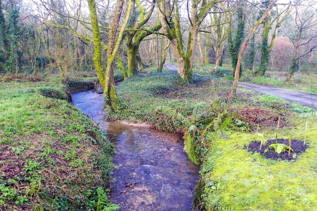 Idyllic Cornish In The Beautiful Lamorna Valley - Walk To Pub & Sea Apartment *